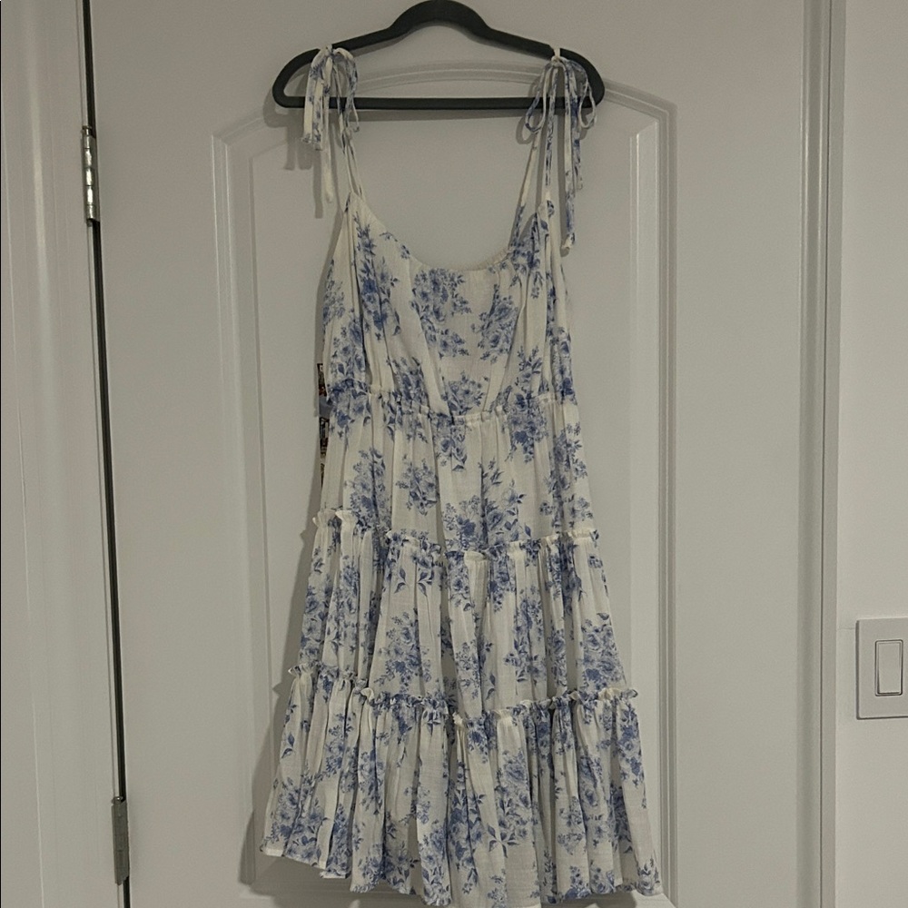 Francesca's Collections Blue Floral Mini Dress